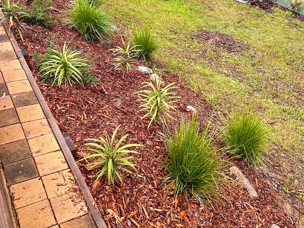 Retaining wall & landscape, after the works